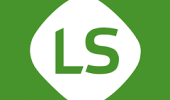 LSbet Casino